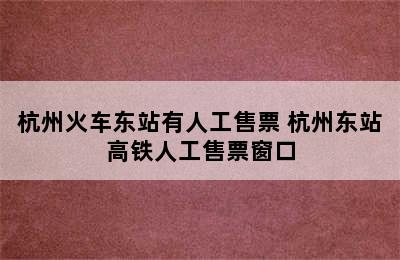 杭州火车东站有人工售票 杭州东站高铁人工售票窗口